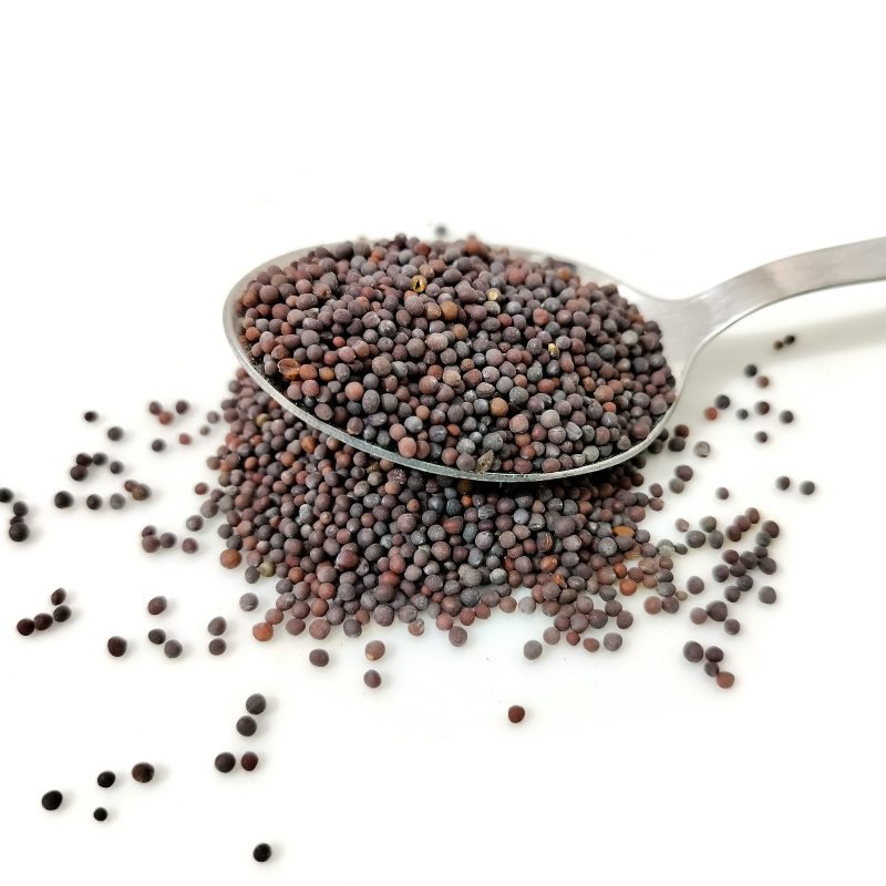 Black Mustard Oil