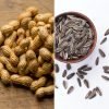 Groundnuts and sunflower seeds