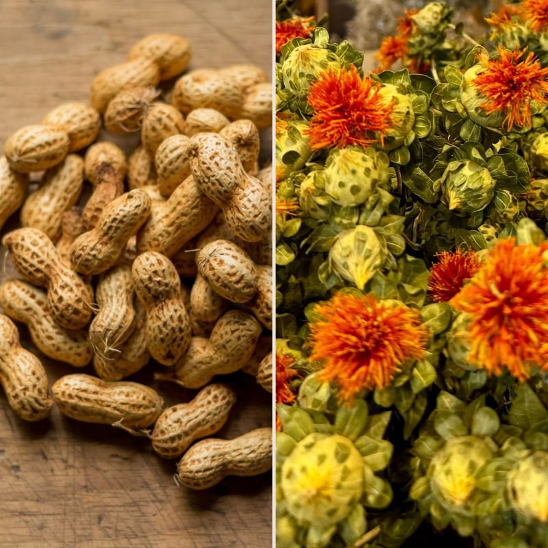 Mitti Ki Khushboo — Groundnut + Safflower