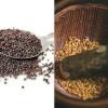 Mustard seeds and sesame seeds