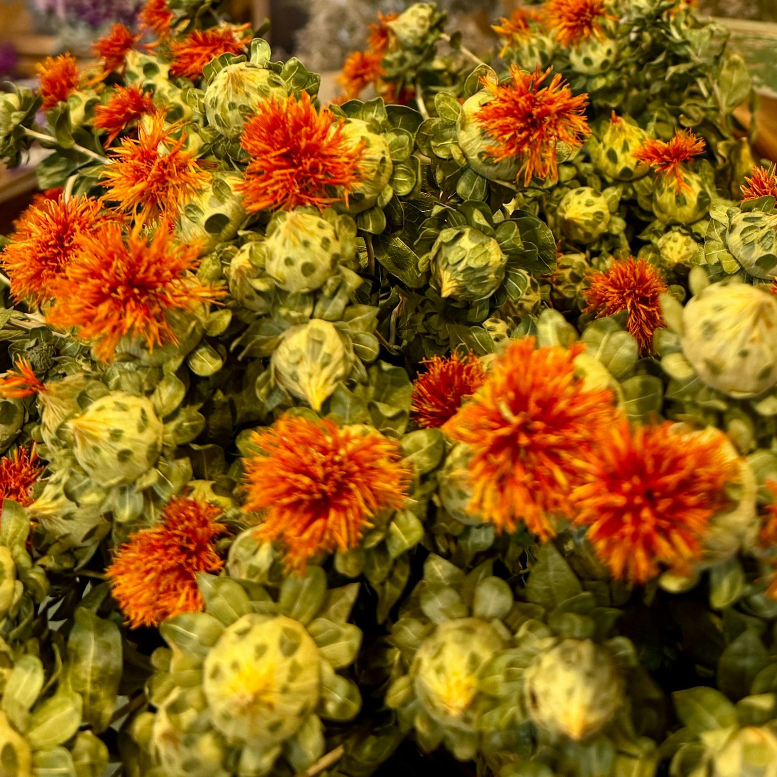 Bunches of orange safflower